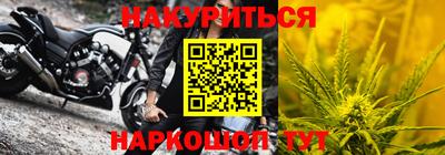 индика Бийск