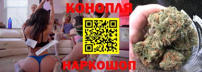 индика Бийск