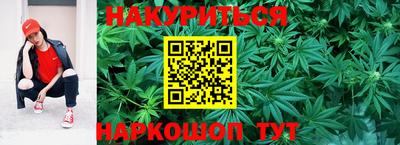 индика Бийск