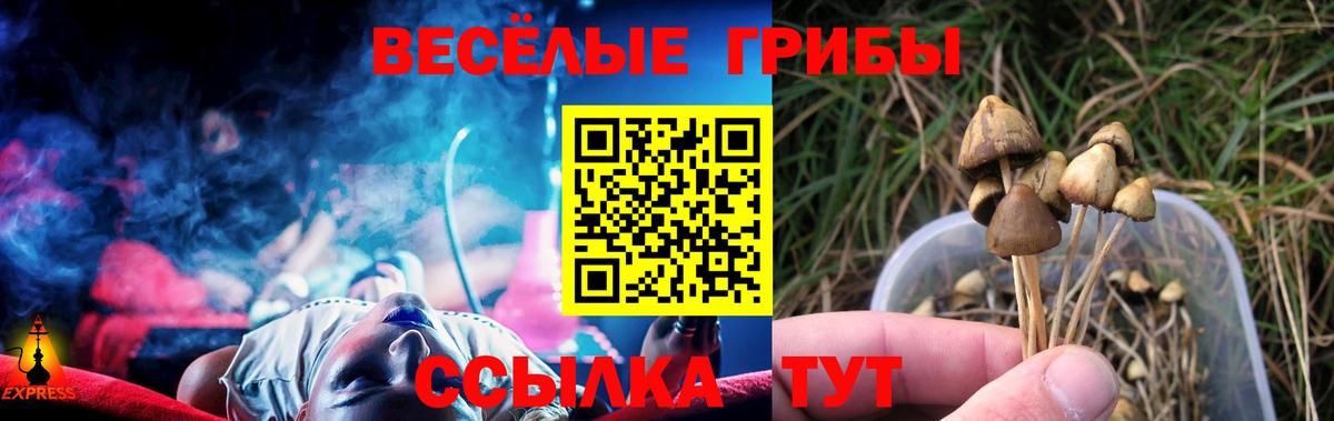 Калуга  наркотики  Вход с VPN  Псилоцибиновые грибы Psilocybine cubensis 